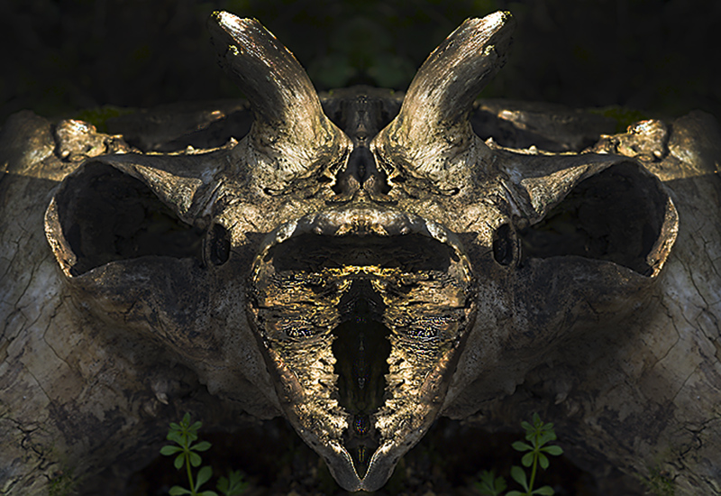 creatura della foresta