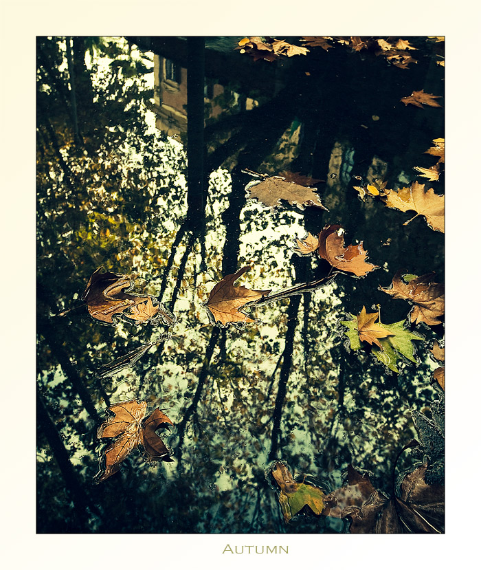 Autumn