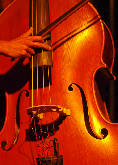 contrabbasso