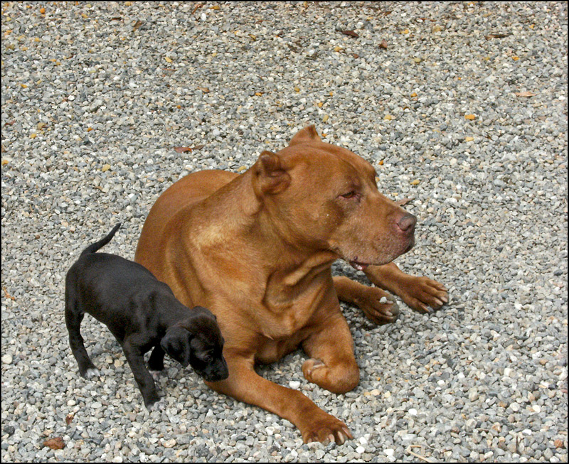 non sei mia figlia!!