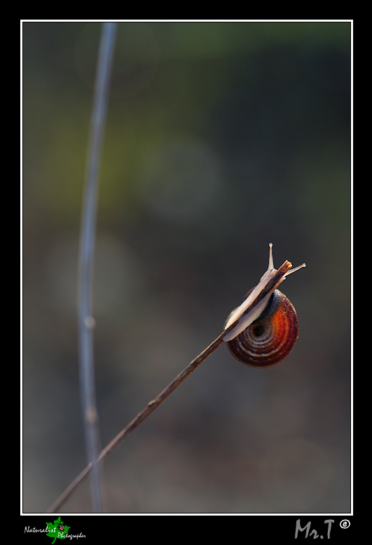 ...Rette,curve,luci e colori...