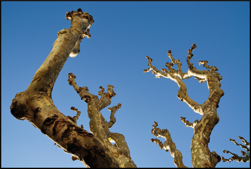 Aspettando la primavera