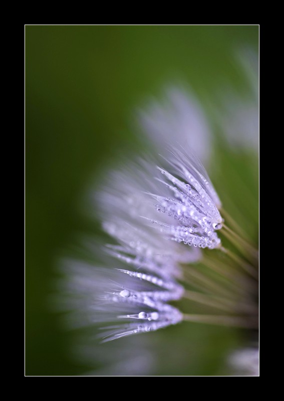 Esplosione di....freddo