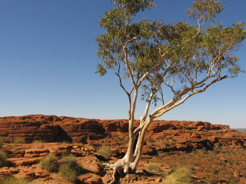 che fatica vivere! - australia