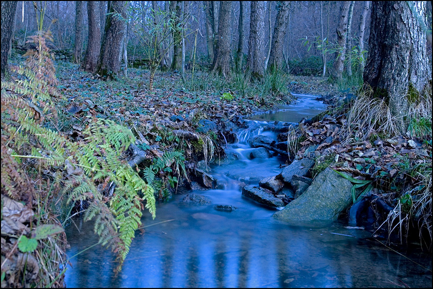 il ruscello del mio giardino...