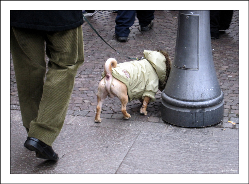 Ciccio, oggi vev-de, ok?!