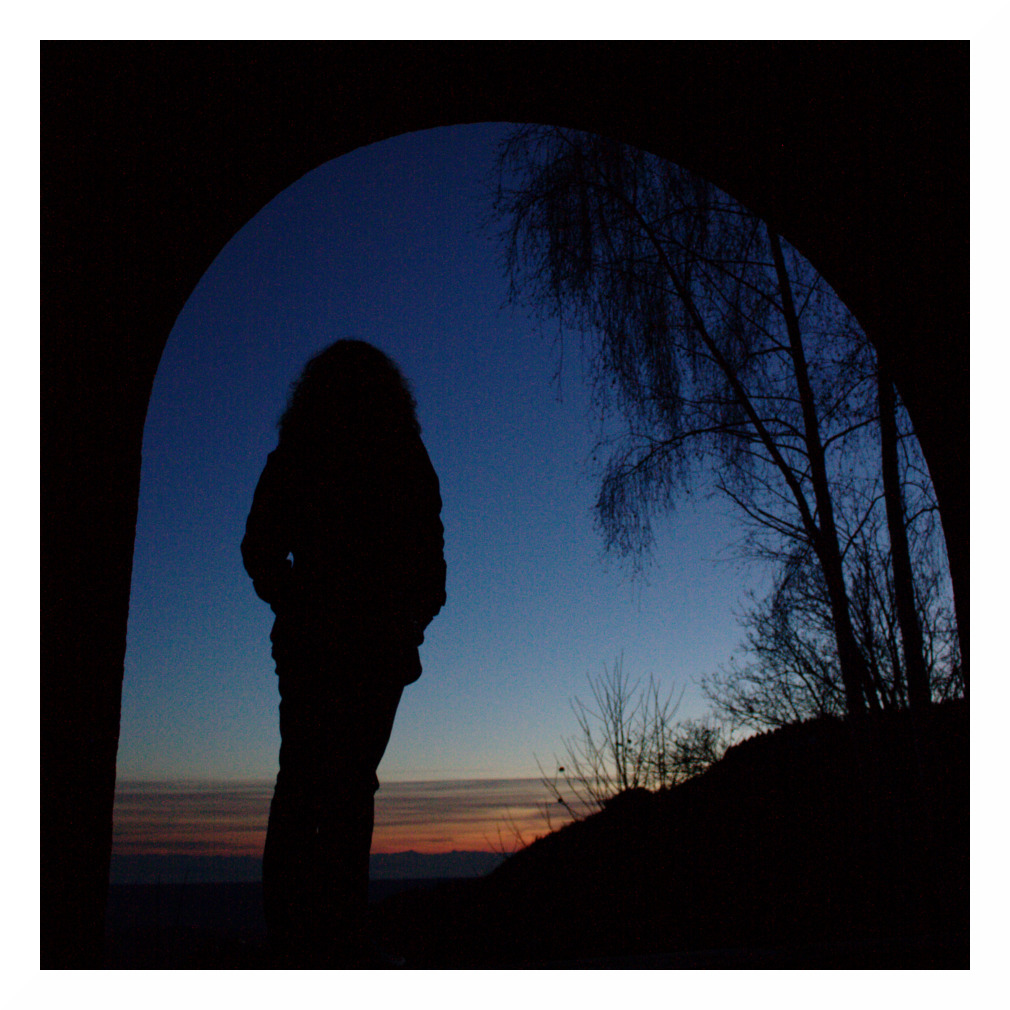 Ammirando il tramonto  n� 5