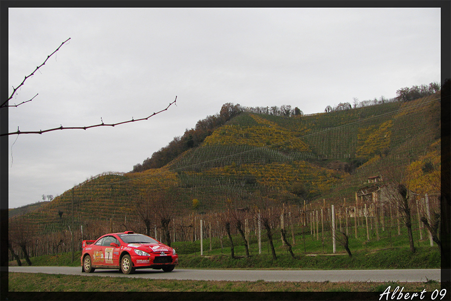 Rally Prealpi Master 09!