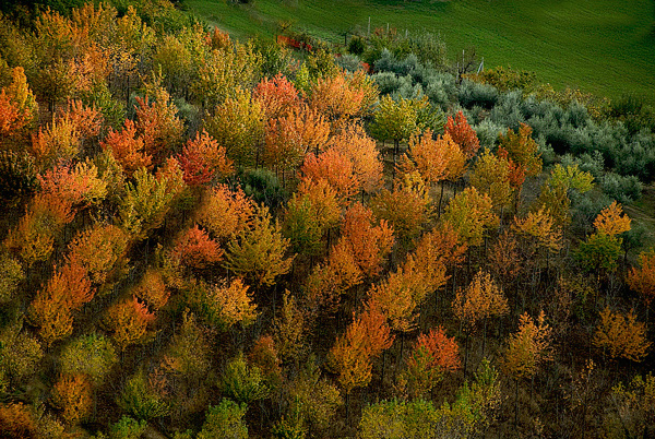 Aspettando l'inverno.....