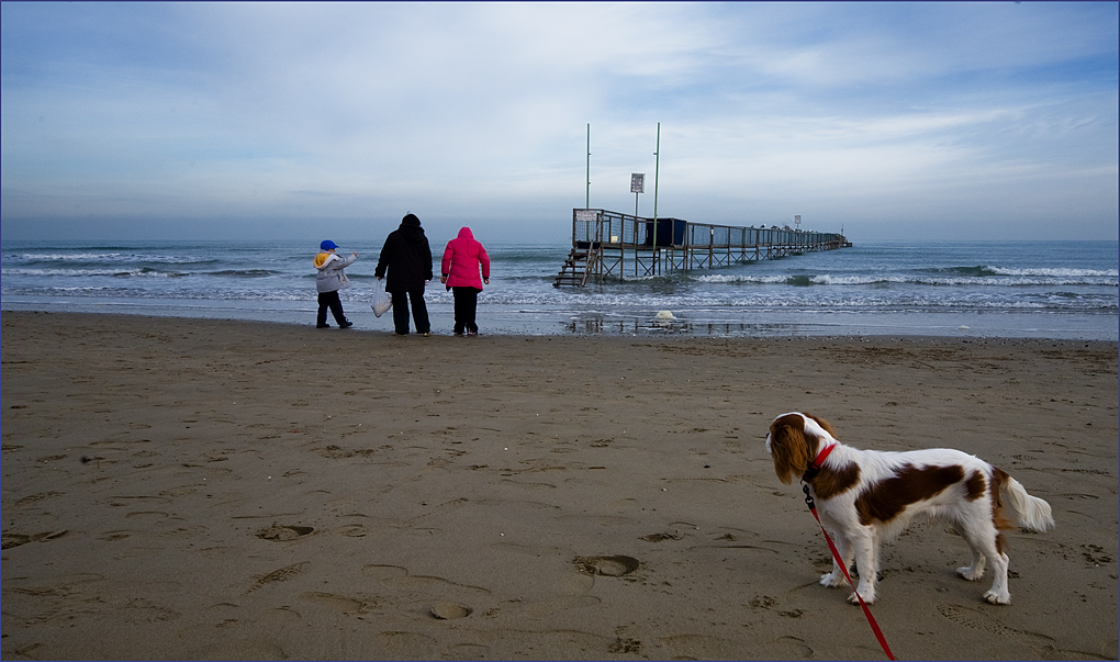 la spiaggia d' inverno ..