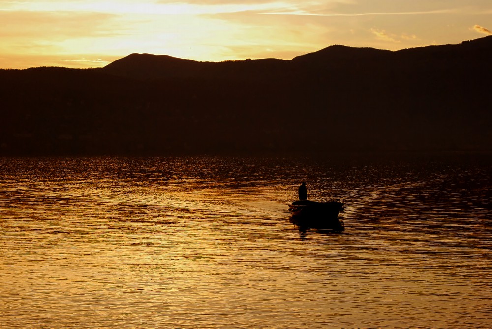 Barca in un mare d'oro