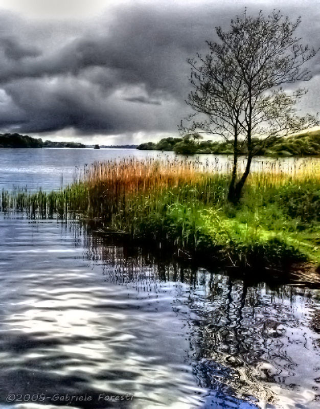 HDR Irish Lake (Detail) - The fisher