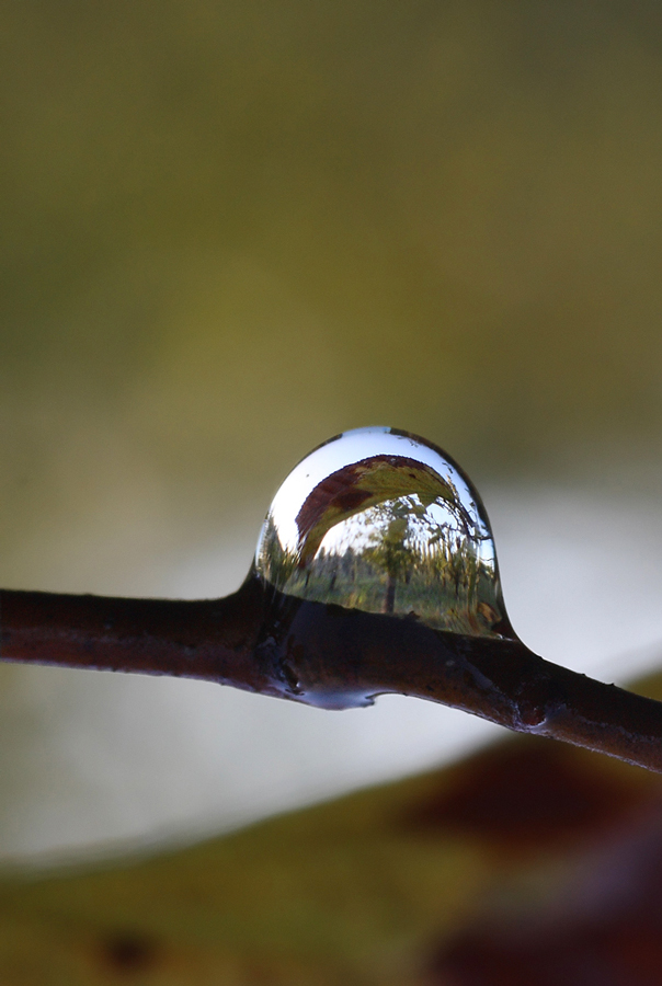 Un mondo intrappolato...
