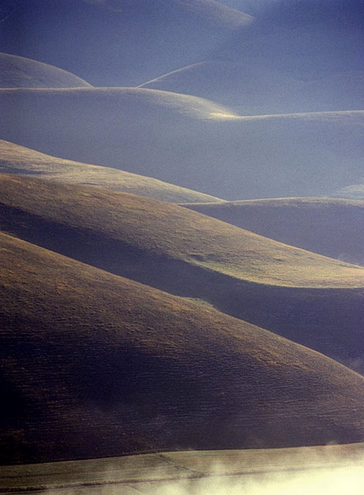 un mare di gobbe....