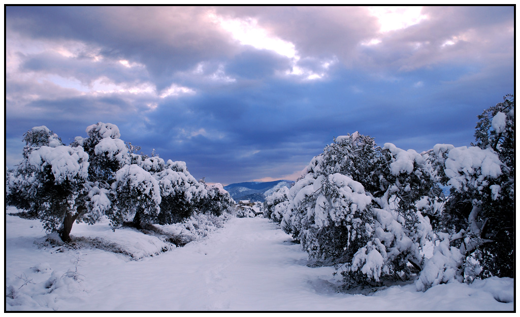 l'inverno bianco....