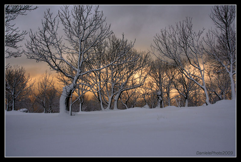 ...� nevicato!!!