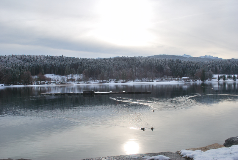 Sulla via per Monaco