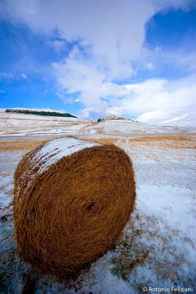 Castelluccio