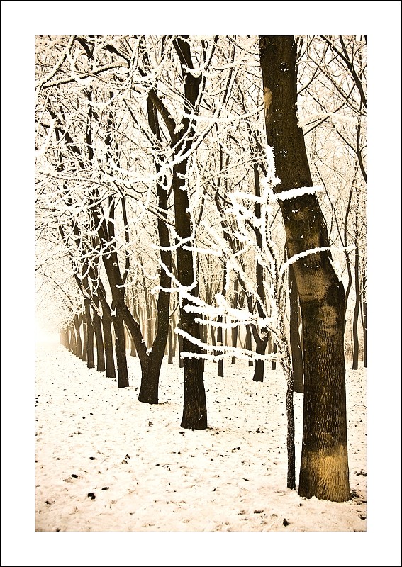 ancora un po' di freddo....