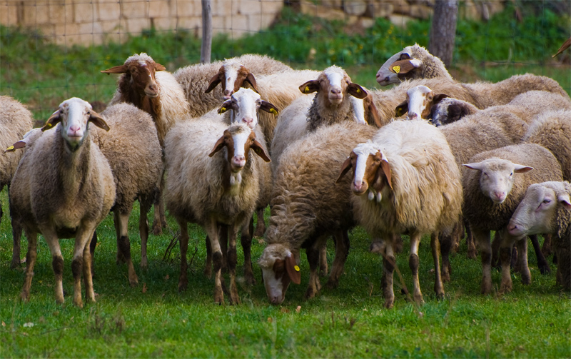 Cheeeeeese..........!