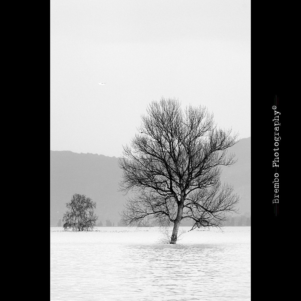 Alluvione Massaciuccoli...