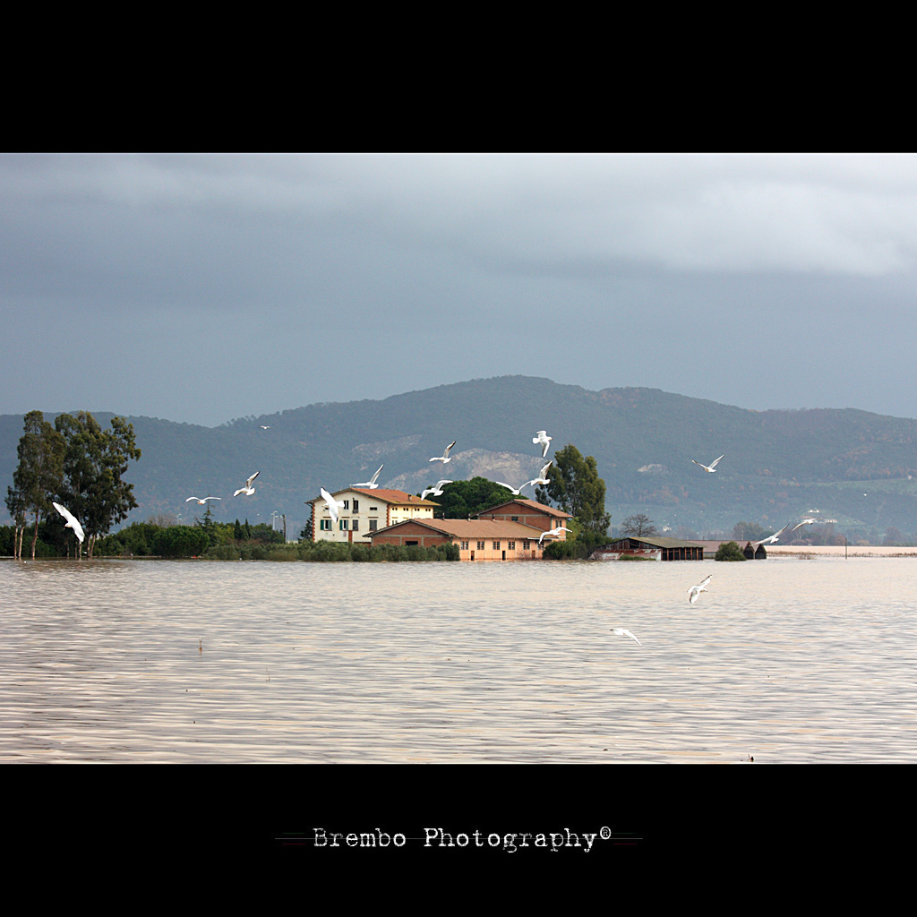 Alluvione Massaciuccoli...