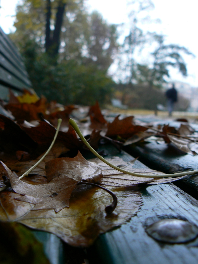 Contemplando il mondo...