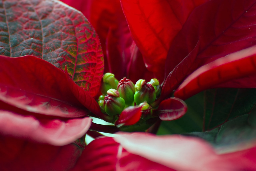 Visione alternativa...