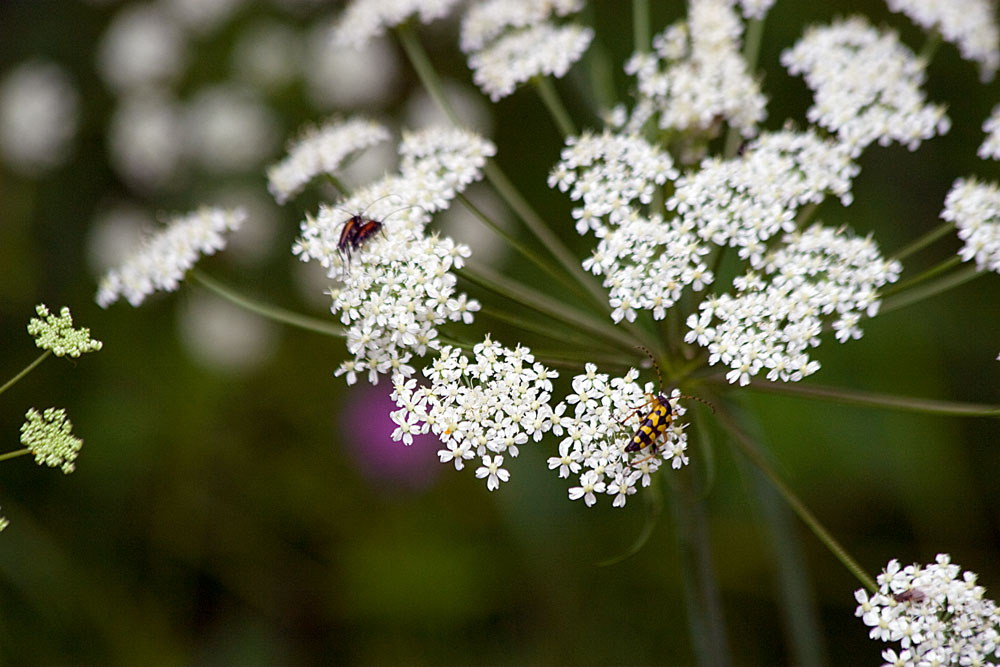 C � posto per tutti...