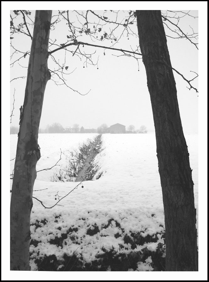 Bianco Natal ? No: Bianco Canal