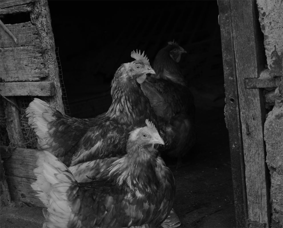 Mama, I'm Coming Home..