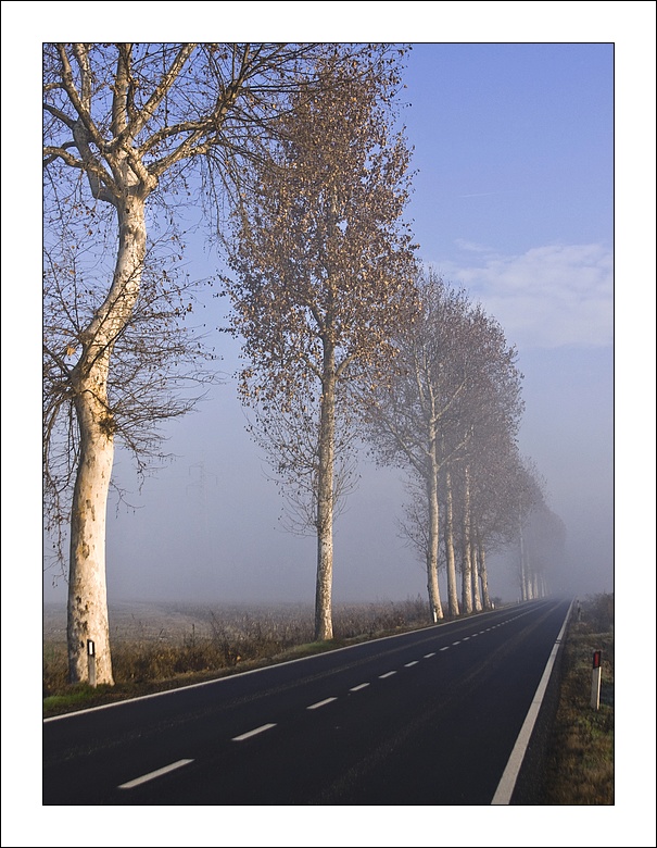 Il nuovo Anno ? Sempre dritto !!