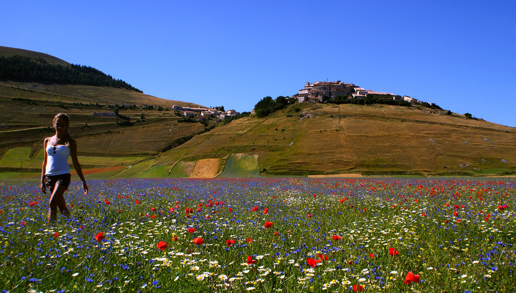 Signorina libert�, signorina fantasia...