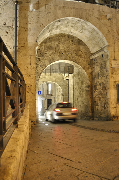 Antiche difese e moderni invasori