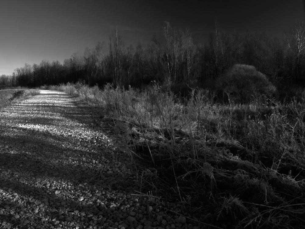 Paesaqggio invernale