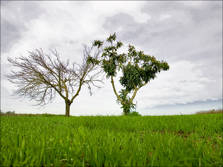 il brutto ed il bello...