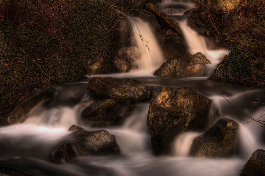 Nel bosco in un giorno d'inverno
