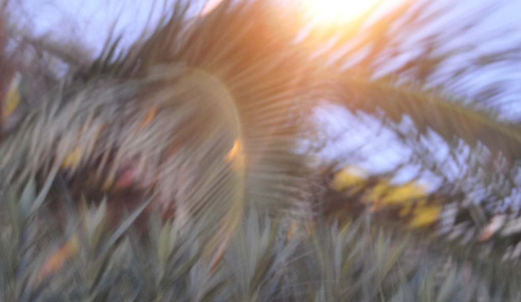 Lieve...come una piuma...