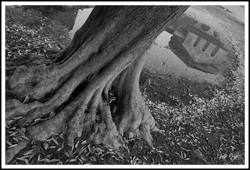 alle radici di Santa Fosca..