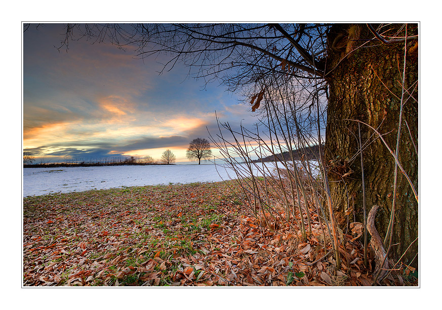 La mia radura preferita