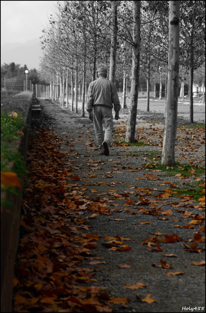 How many roads must a man walk down...