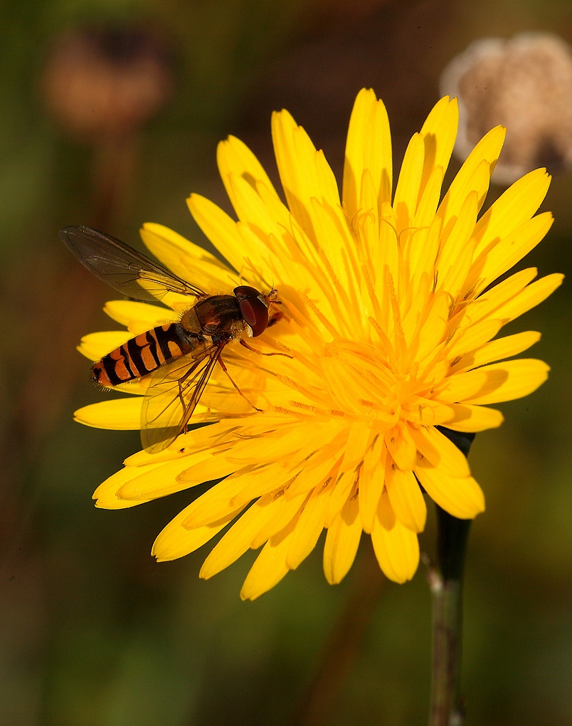 ...La Prima Del 2010...!!!