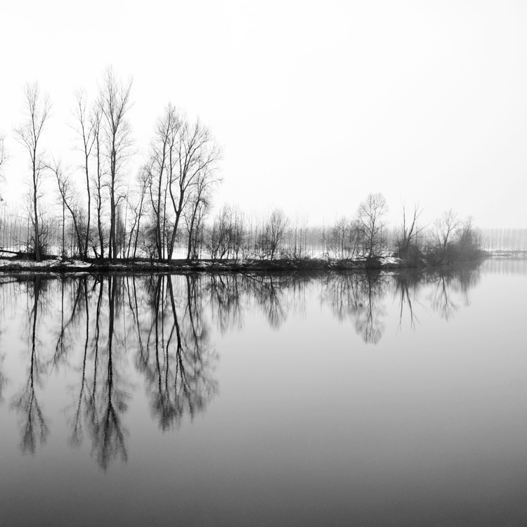 something in the nothing