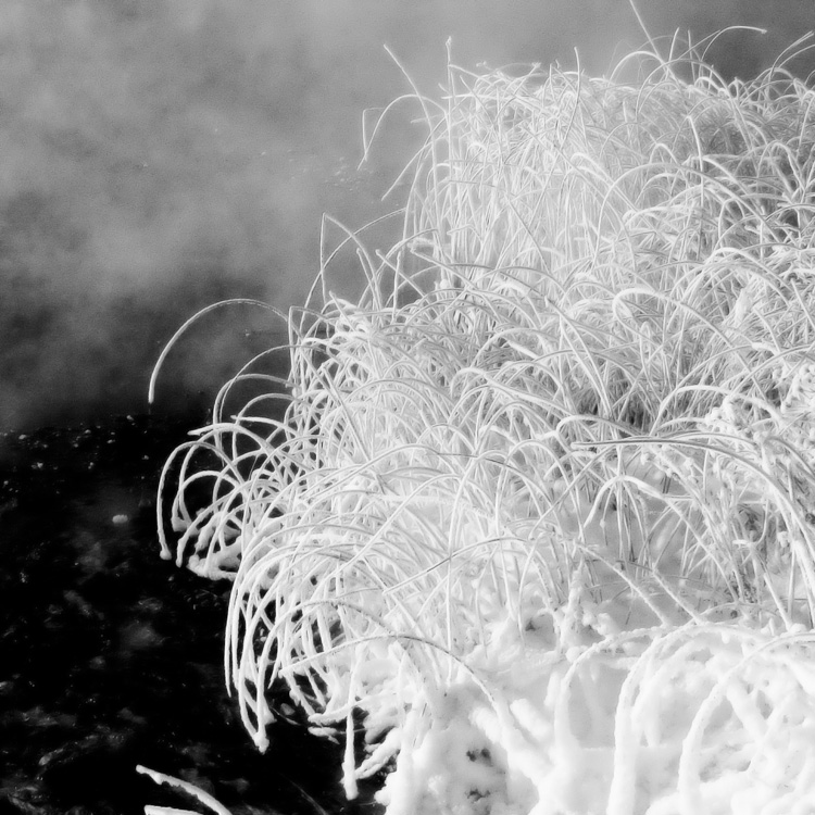 something in the nothing