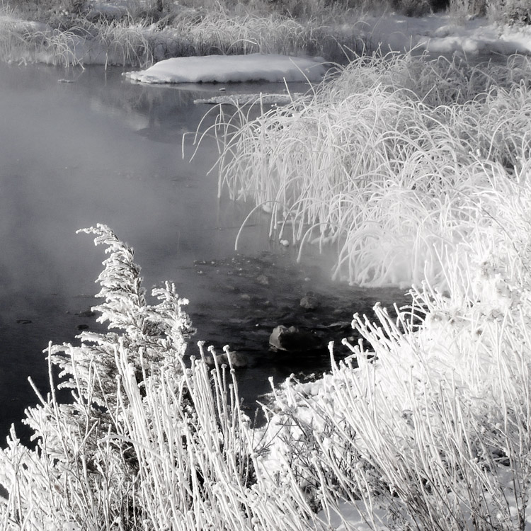 something in the nothing