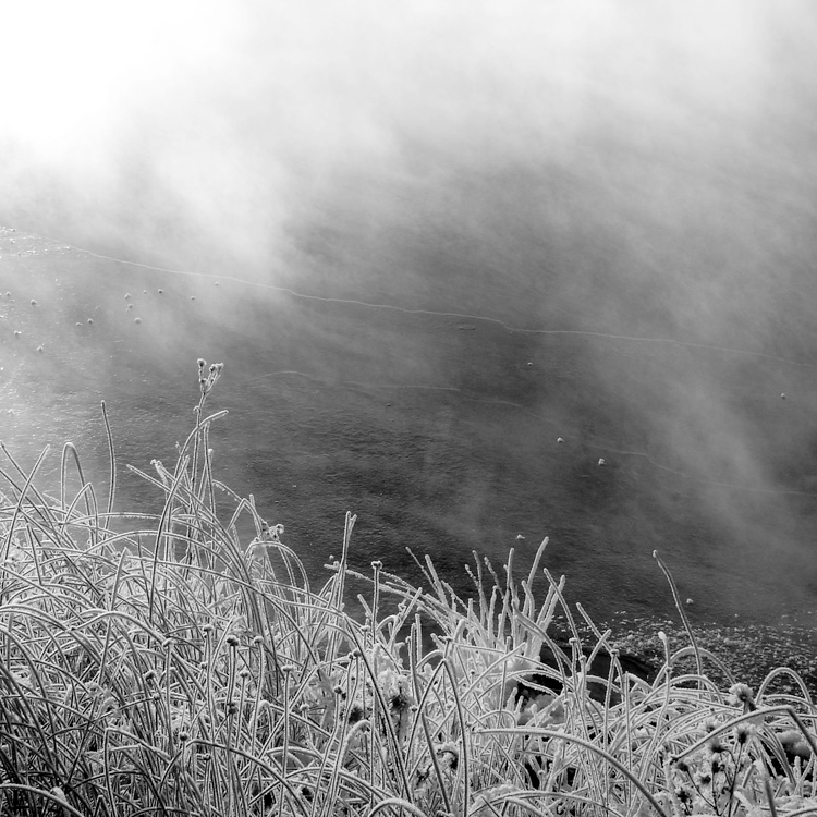 something in the nothing