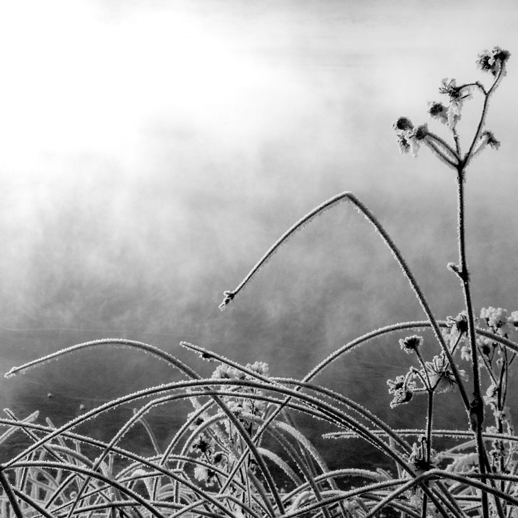 something in the nothing