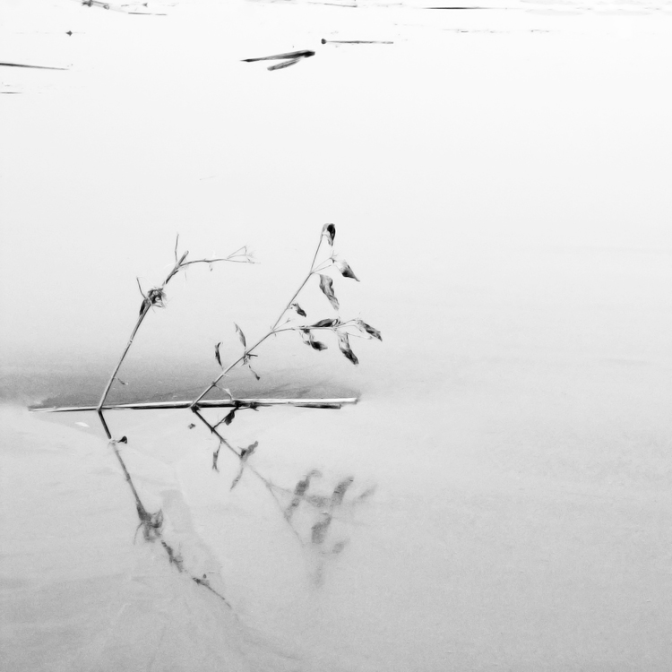 something in the nothing