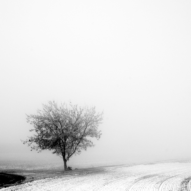 something in the nothing