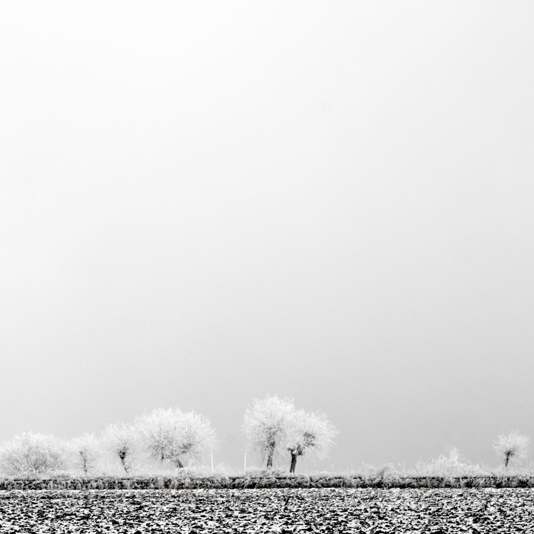 something in the nothing